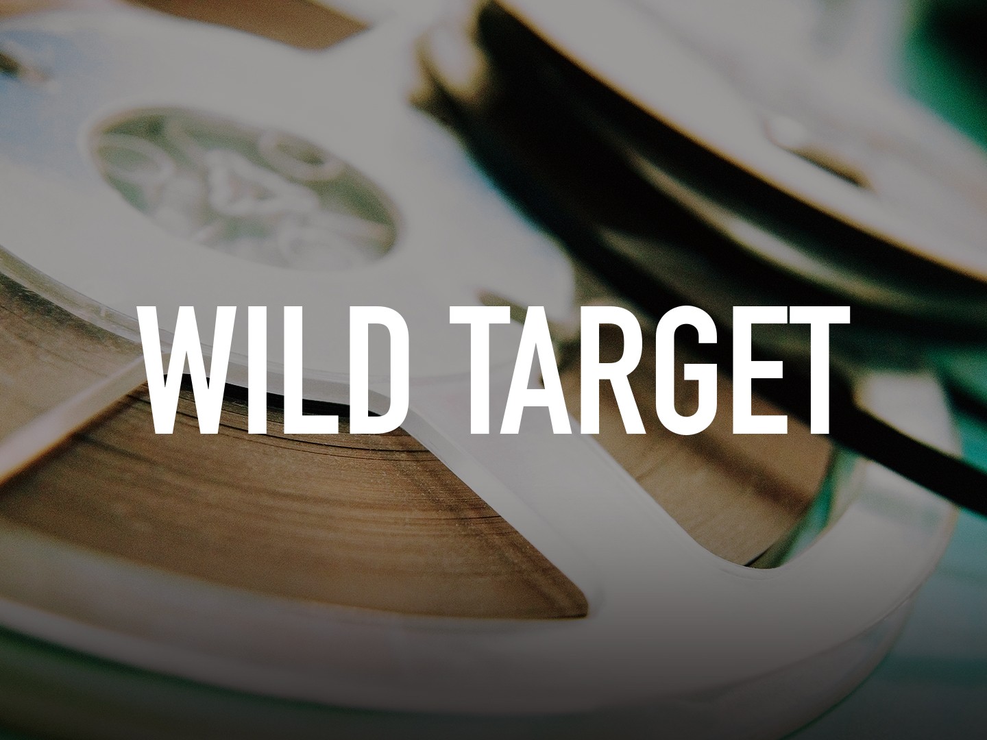 taste of the wild target